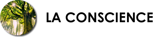 Conscience hypnotique